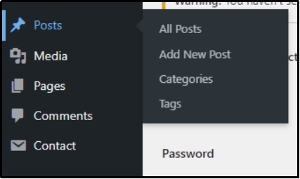 WordPress post settings with category selection.