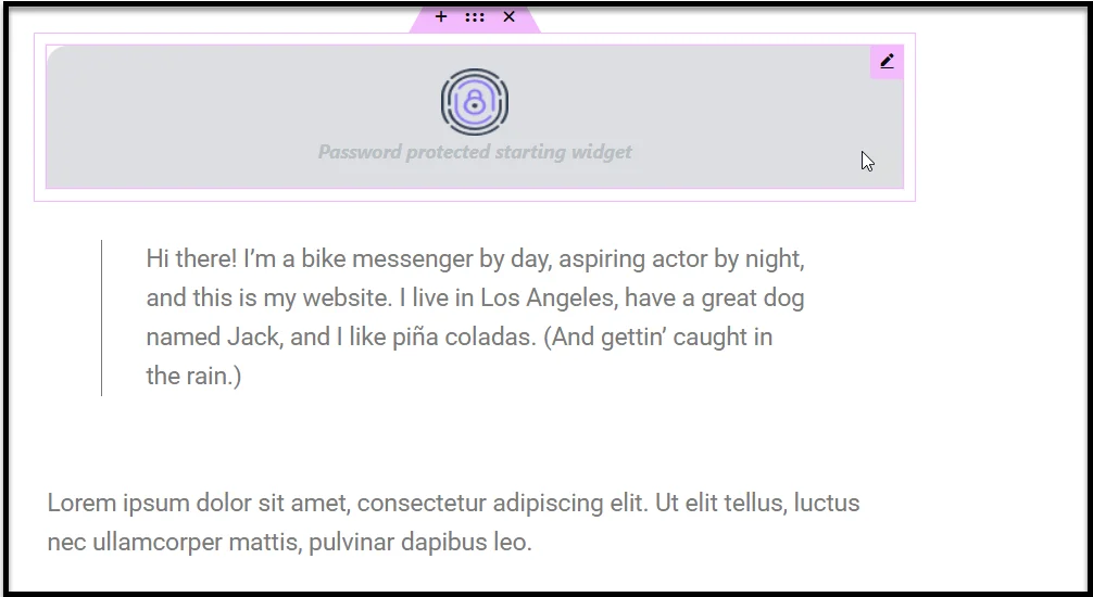 Screenshot of the Password Protected starting widget
