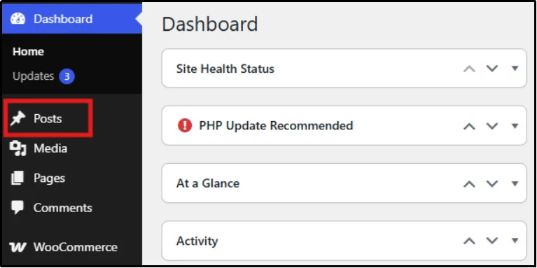 WordPress Posts content type
